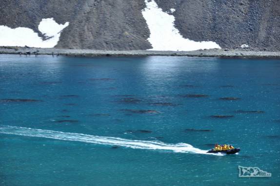 Passageiros a caminho do Sea Spirit em Ocean Harbour, na Geórgia do Sul